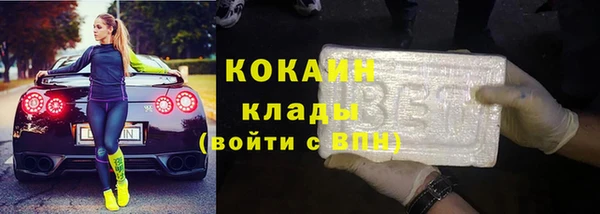твердый Краснослободск