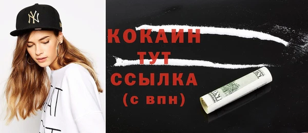 твердый Краснослободск