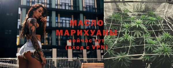 твердый Краснослободск