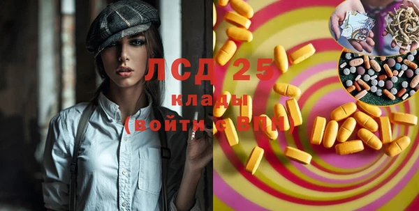 твердый Краснослободск
