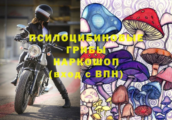 твердый Краснослободск